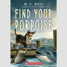 Find your porpoise