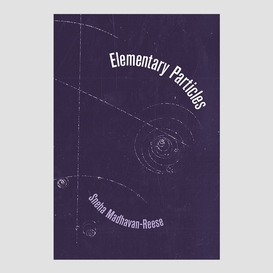 Elementary particles