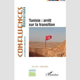 Tunisie : arrêt sur la transition