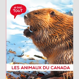 Animaux du canada les