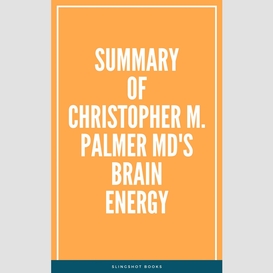 Summary of christopher m. palmer md's brain energy