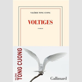 Voltiges