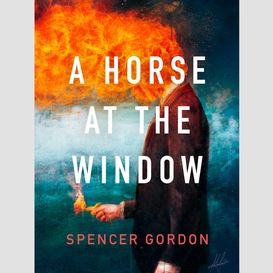 A horse at the window