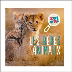 Bebes animaux (les)