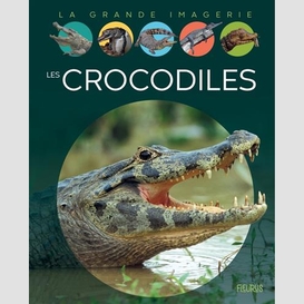 Crocodiles (les)