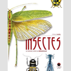 Insectes le grand livre du minuscule