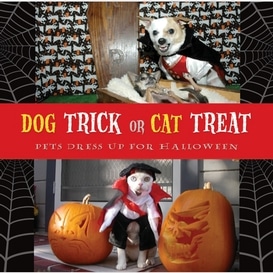 Dog trick or cat treat