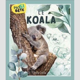 Pas si bête le koala