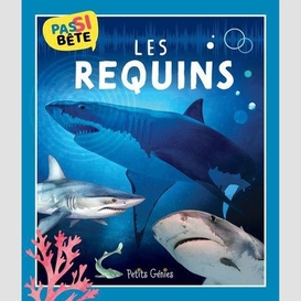 Pas si bête les requins