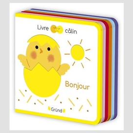 Livre calin mini bonjour