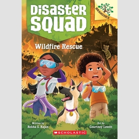 Wildfire rescue: a branches book (disaster squad #1)