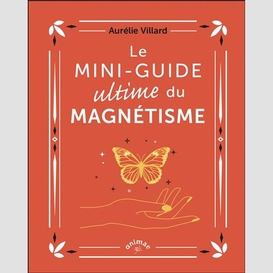 Mini-guide ultime du magnetisme (le)