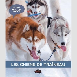 Chiens de traineau (les)