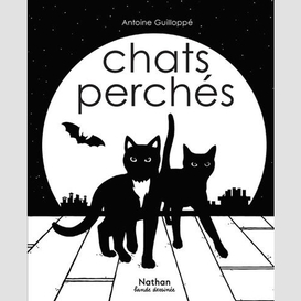 Chats perches