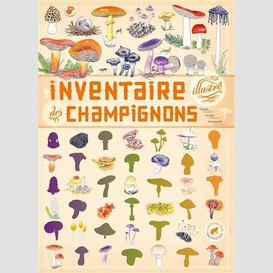 Inventaire illustre des champignons