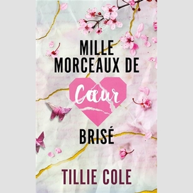 Mille morceaux de coeur brise