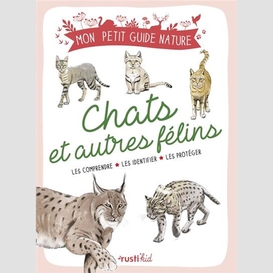 Chats et autres felins