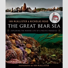 The great bear sea