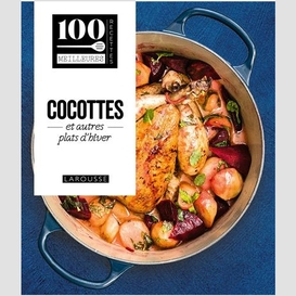 Cocottes et autres plats d'hiver