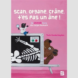 Scan organe crane t'es pas un ane