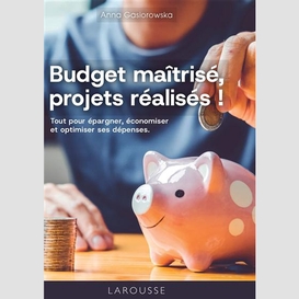 Budget maitrise projets realises