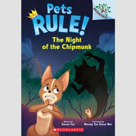 The night of the chipmunk: a branches book (pets rule! #6)