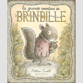 Grande aventure de brindille (la)