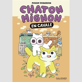 Chaton mignon en cavale