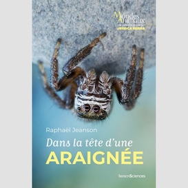 Dans la tete d'une araignee