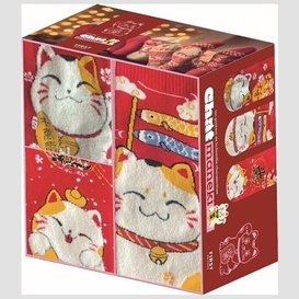 Chat maneki chaussettes