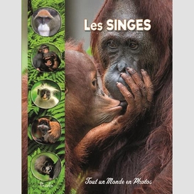 Singes (les)