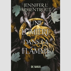 Une lumiere dans la flamme