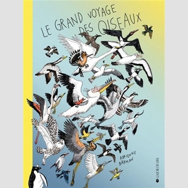 Grand voyage des oiseaux (le)