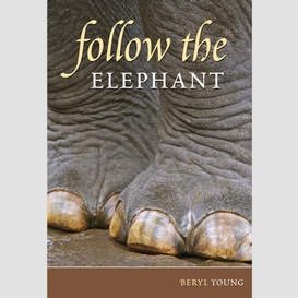 Follow the elephant