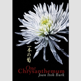 One chrysanthemum