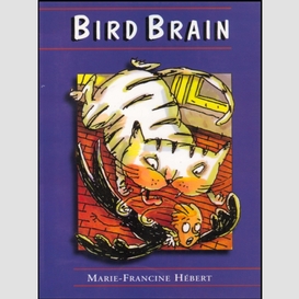 Bird brain