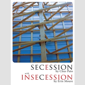 Secession/insecession