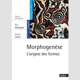 Morphogenèse. l'origine des formes