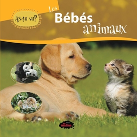 As-tu vu? les bébés animaux