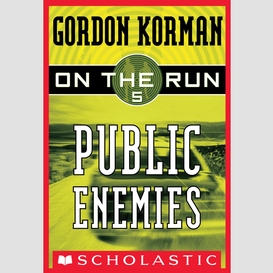 Public enemies (on the run #5)