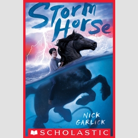 Storm horse