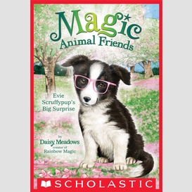 Evie scruffypup's big surprise (magic animal friends #10)