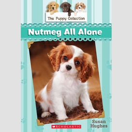 The puppy collection #8: nutmeg all alone