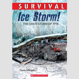 Survival: ice storm!