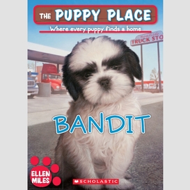 Bandit (the puppy place #24)