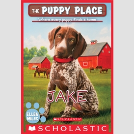 Jake (the puppy place #47)