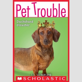 Dachshund disaster (pet trouble #8)