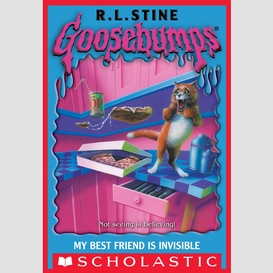 My best friend is invisible (goosebumps)
