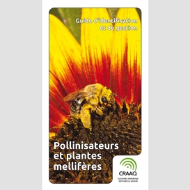 Pollinisateurs et plantes melliferes