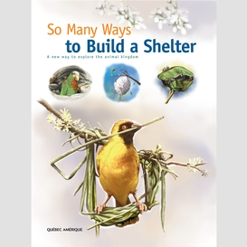 So many ways to build a shelter